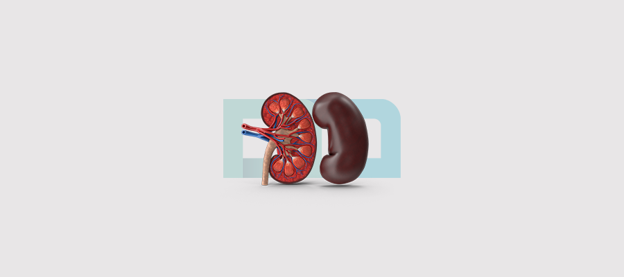 Kidney Dialysis